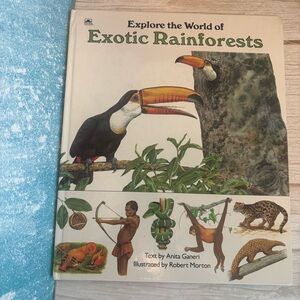 Explore The World Of Exotic Rainforest